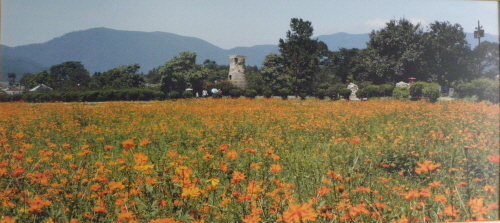 춘색